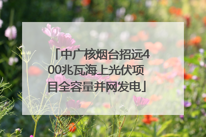 中广核烟台招远400兆瓦海上光伏项目全容量并网发电